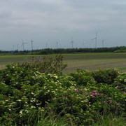 Windmills in Denmark 02