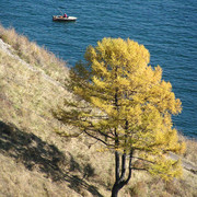 Trekking around Baikal lake 14