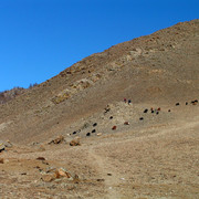 Mongolia - trekking in Tsetserleg N.P. 09
