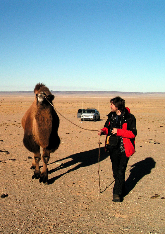 Brano trying to brake a camel :)