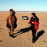 Brano trying to brake a camel :)