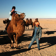 Gobi - Paula trying to brake a camel