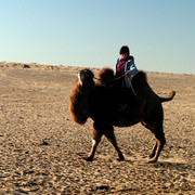 Gobi - Paula riding a Mongolian camel 05