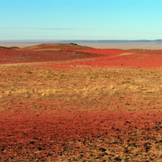 Gobi desert near Sainshand