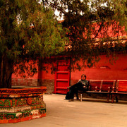 Beijing - Forbidden City 19