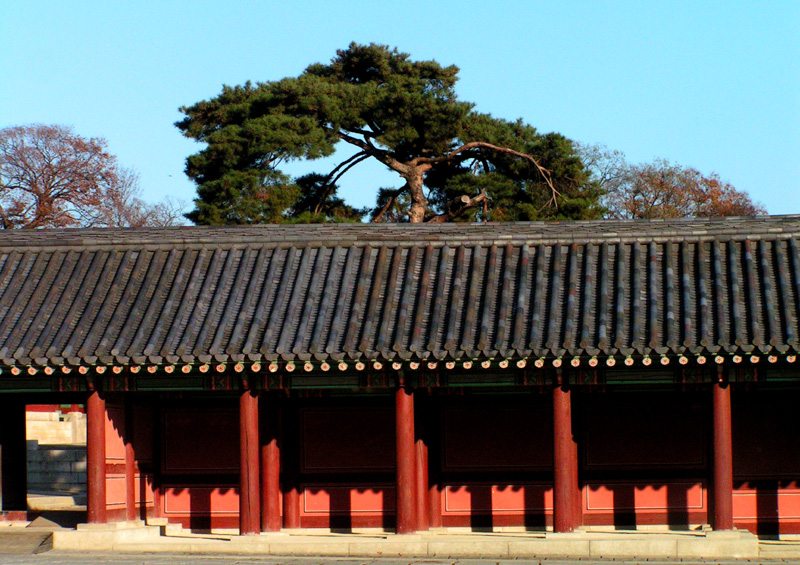 A Royal Palace in Seoul 05