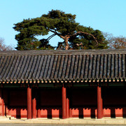 A Royal Palace in Seoul 05