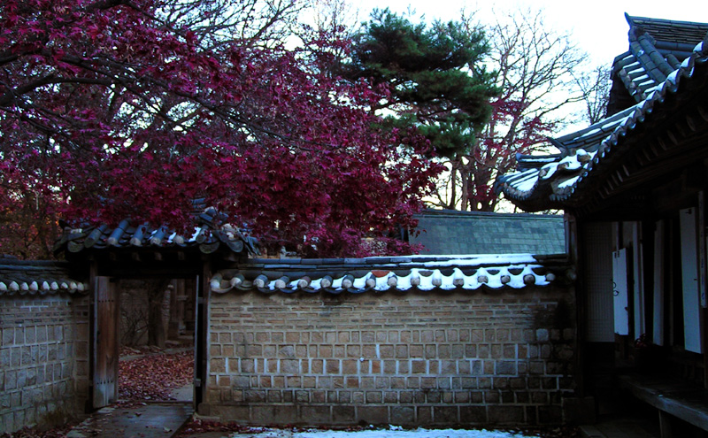 A Royal Palace in Seoul 17