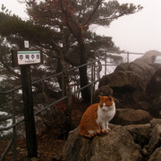 South Korea - trekking in Gyeryong-san mountain 09