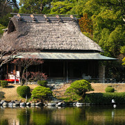 Japan - a Zen garden 12