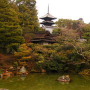 Japan - Kyoto - a garden pond in Nanzenji