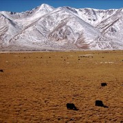 Tibet countryside 08