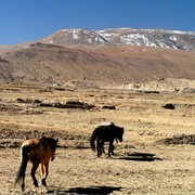 Tibet plateau 21