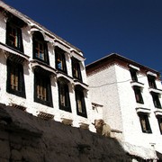 Tibet - Drepung monastery 17