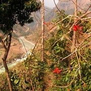 Nepal - a trek to Bahaun Danda 19