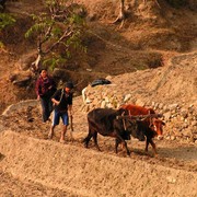 Nepal - a trek to Bahaun Danda 25