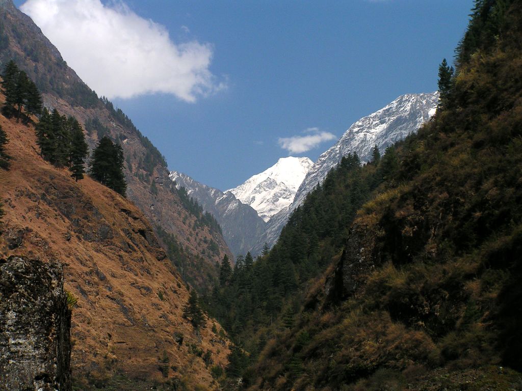 Nepal - trek to Bagarchhap 10