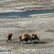 Nepal - Upper Mustang