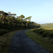 Sri Lanka - Horton Plains 004