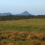Sri Lanka - Horton Plains 005