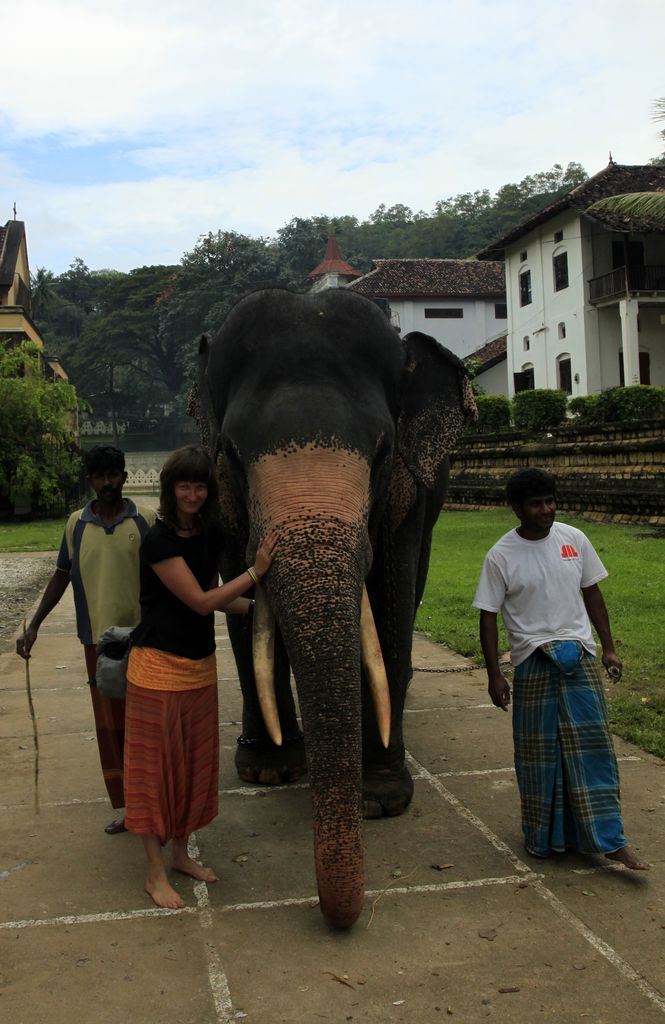 Sri Lanka - Paula touching the elephant for luckiness