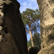 Czechia - climbing in Adrspach-Teplice rocks 68