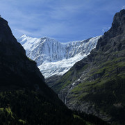 The Swiss Alps - Jungfrau Region 03