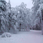 Beautiful Czech winter