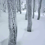 Czech winter beauty