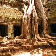 Cambodia travel photos