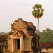 Cambodia - Angkor wat 25