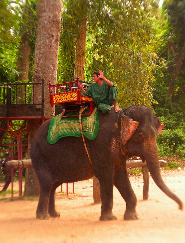 Elephant riding in Cambodia