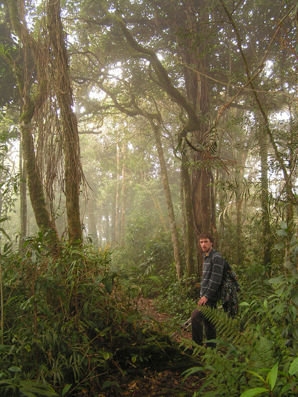 Malaysia - jungle trekking in Cameron Highlands 09