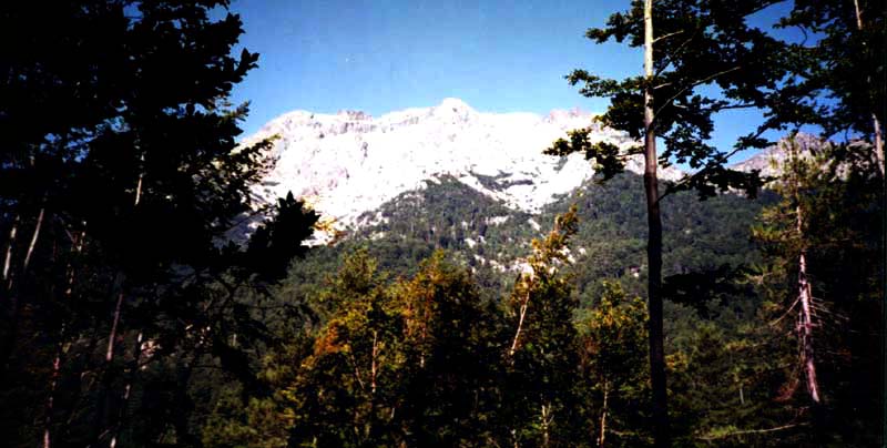 Corsica - Monte de Oro