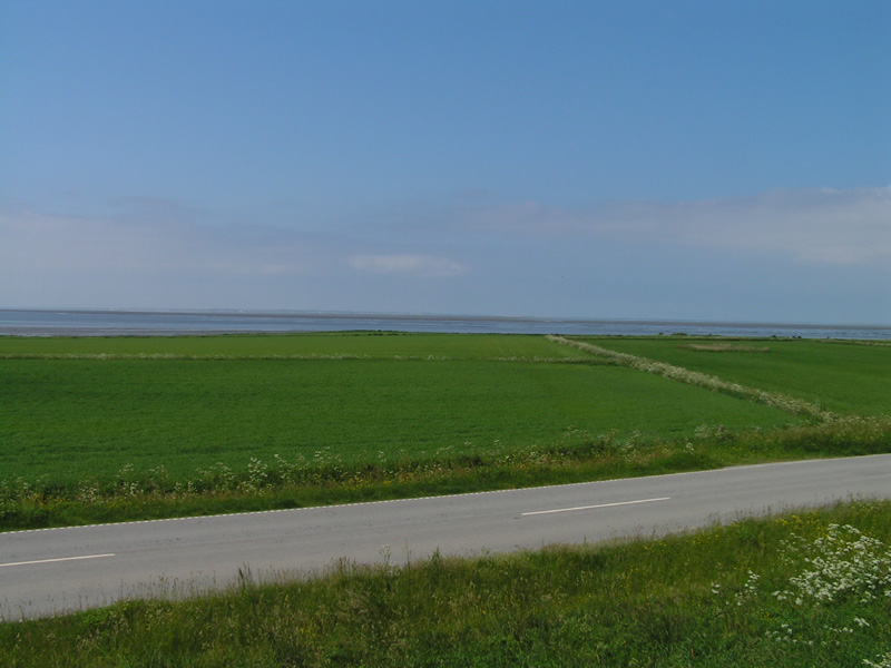 Danish countryside