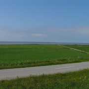 Danish countryside