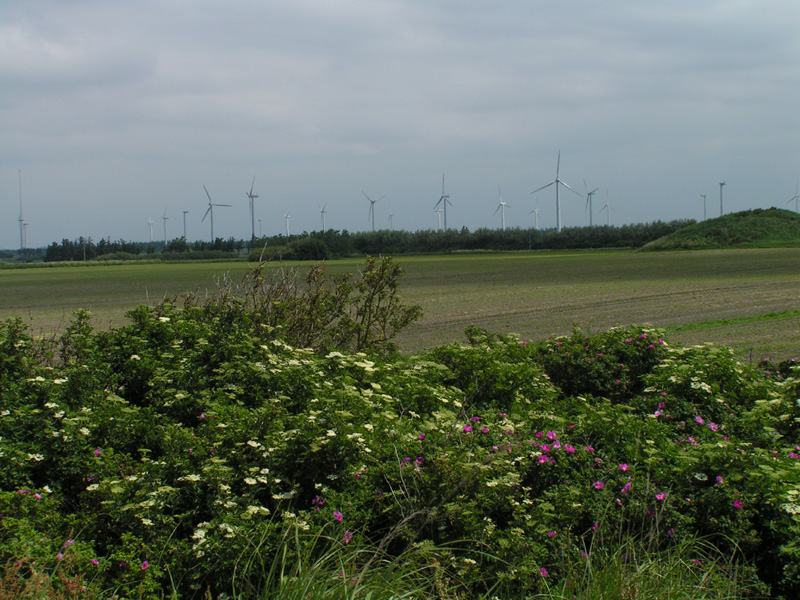 Windmills in Denmark 02