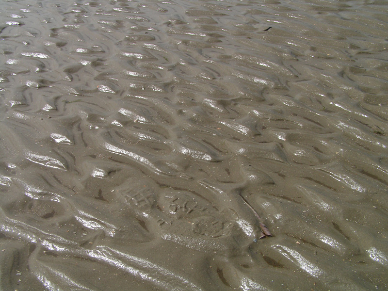 On a beach in Denmark 01