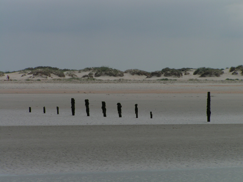 On a beach in Denmark 03