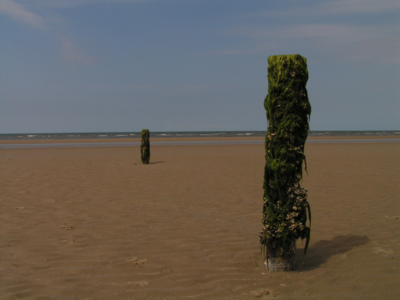 On a beach in Denmark 05