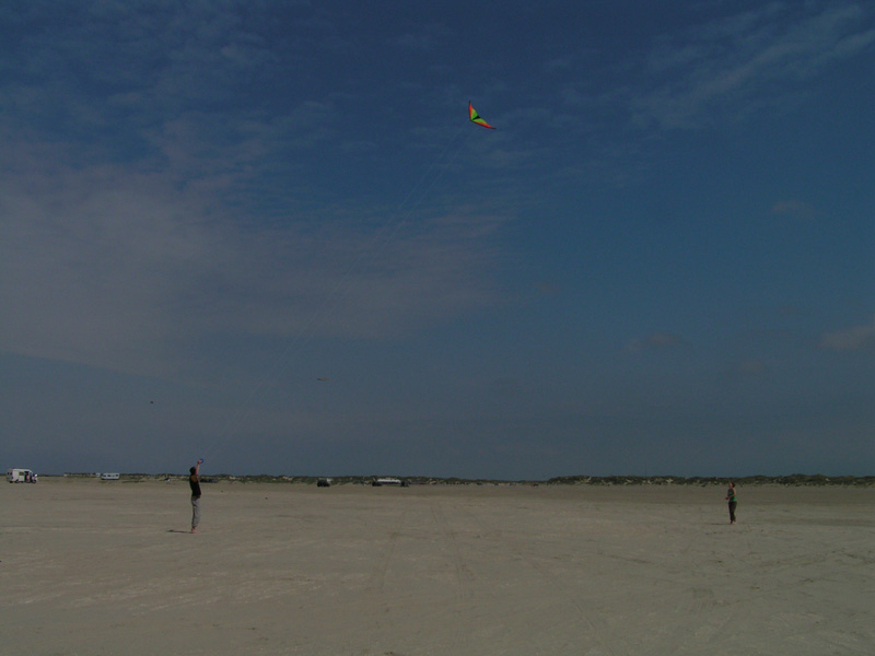 On a beach in Denmark 08