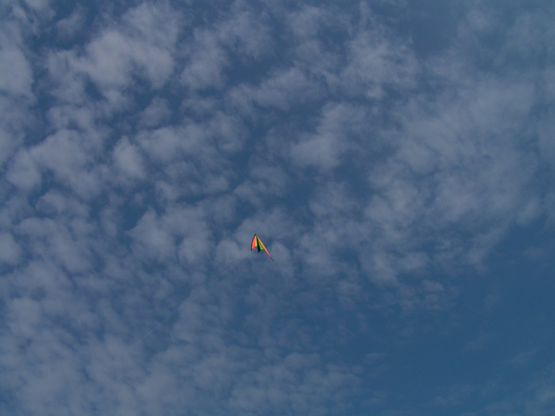 Denmark - Flying kite 01