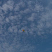 Denmark - Flying kite 01