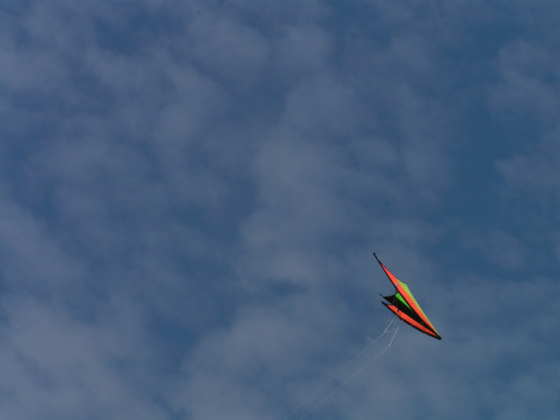 Denmark - Flying kite 02