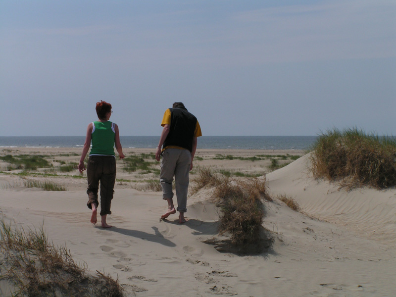 On a beach in Denmark 09