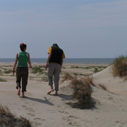 On a beach in Denmark 09