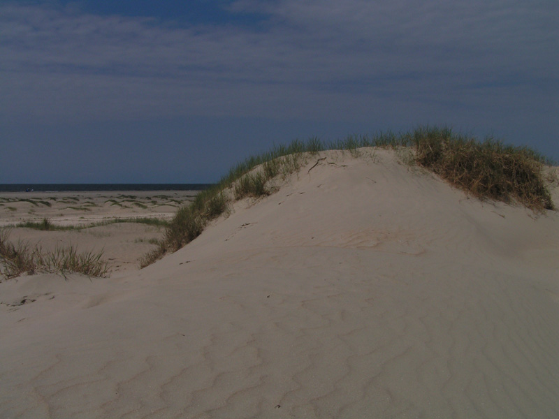 On a beach in Denmark 10