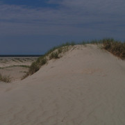 On a beach in Denmark 10