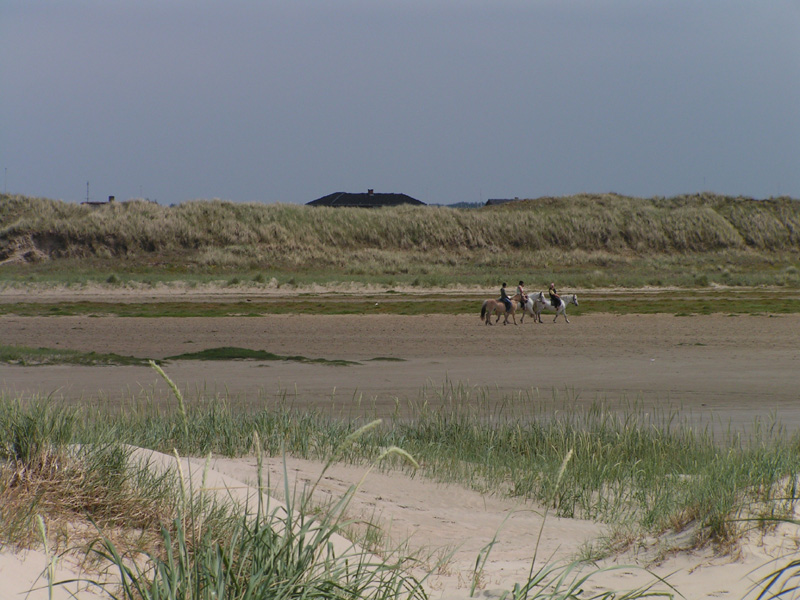 On a beach in Denmark 11