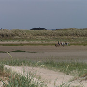 On a beach in Denmark 11